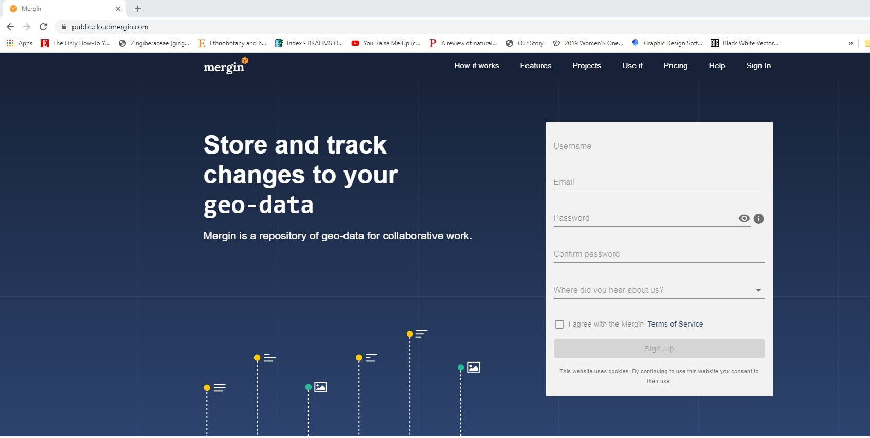 The Kartoza Intern's Journey Creating a Field Survey with QGIS, Mergin and Input